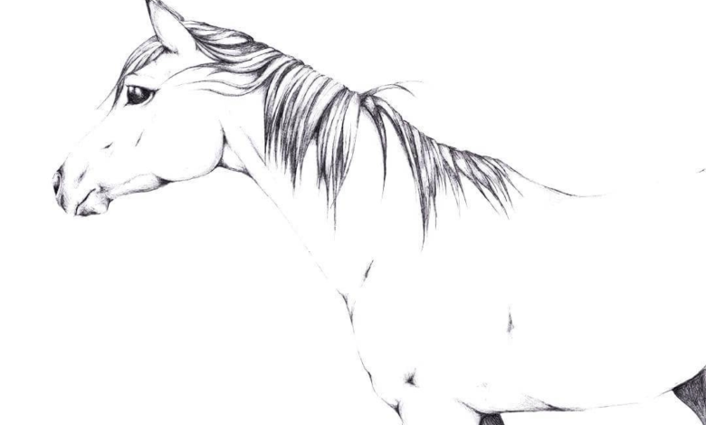 Sweet Horse Aesthetic Coloring Page