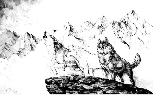 Wild Wolves Tien Shan Mountains Coloring Page