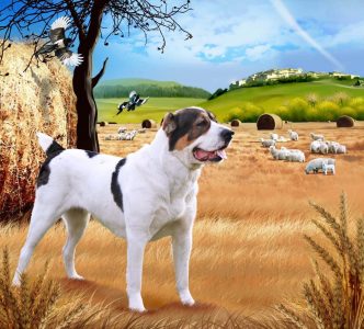 Alabay Kopegi ve Koyun Surusu Alabay Dog and Sheep Herd Anime