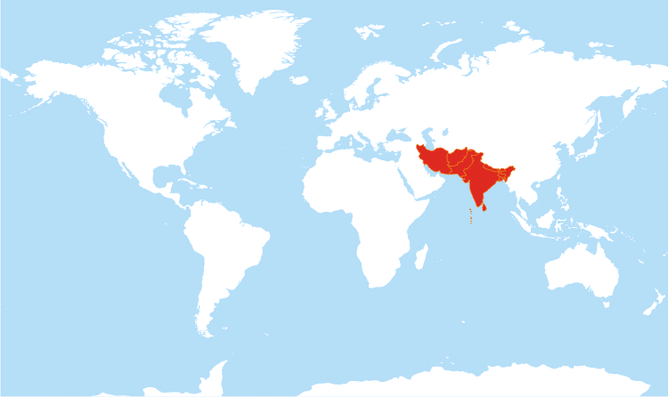 Güney Asya Ülkeleri Haritası