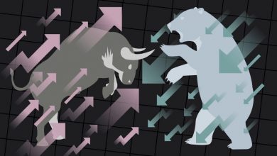 Boga ve Ayi Piyasalari Boga ve Ayi Piyasalari