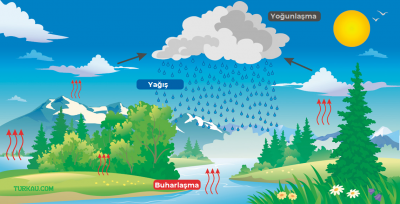 Yogunlasma Yogusma Buharlasma