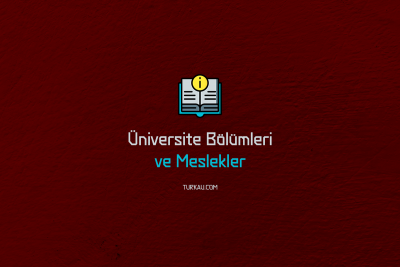 Universite Bolumleri ve Meslekler