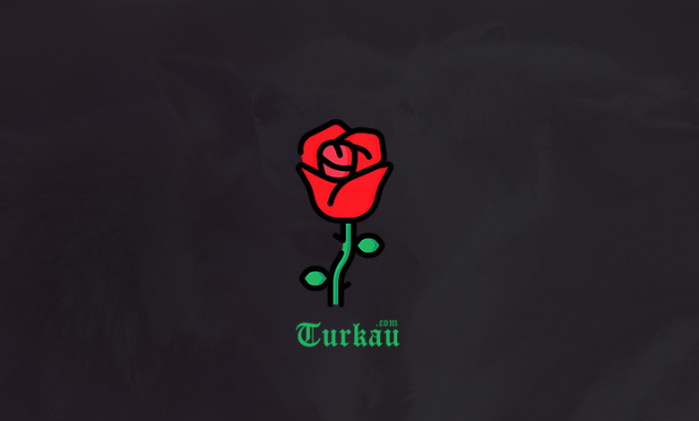 Ask Sozleri