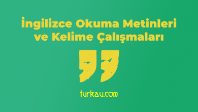 Ingilizce Okuma Metinleri ve Kelime Calismalari