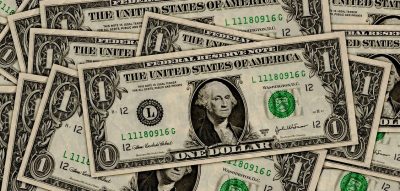 Bir dolar fotografi