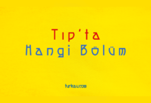 Tip Hangi Bolum