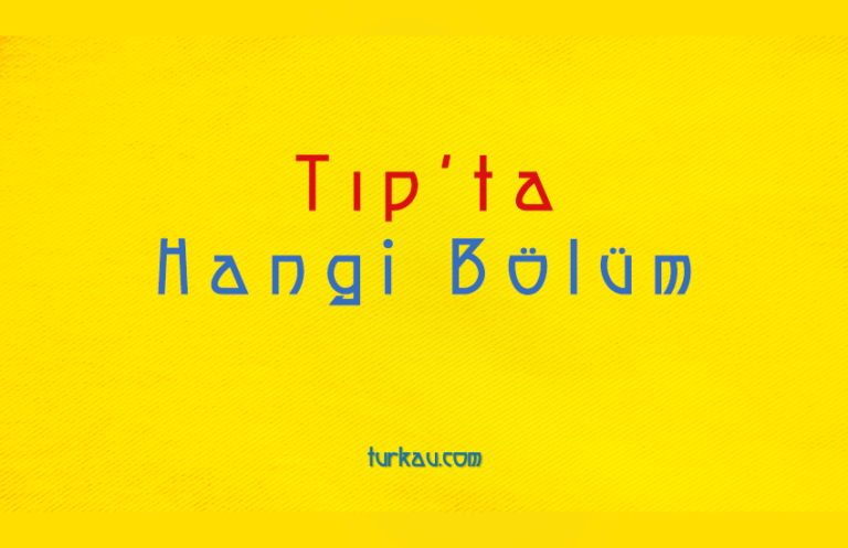 Tıp Hangi Bölüm Tıp Hangi Bölüm