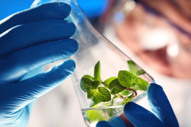 Tıbbi Ekoloji ve Hidroklimatoloji Tıbbi Ekoloji ve Hidroklimatoloji