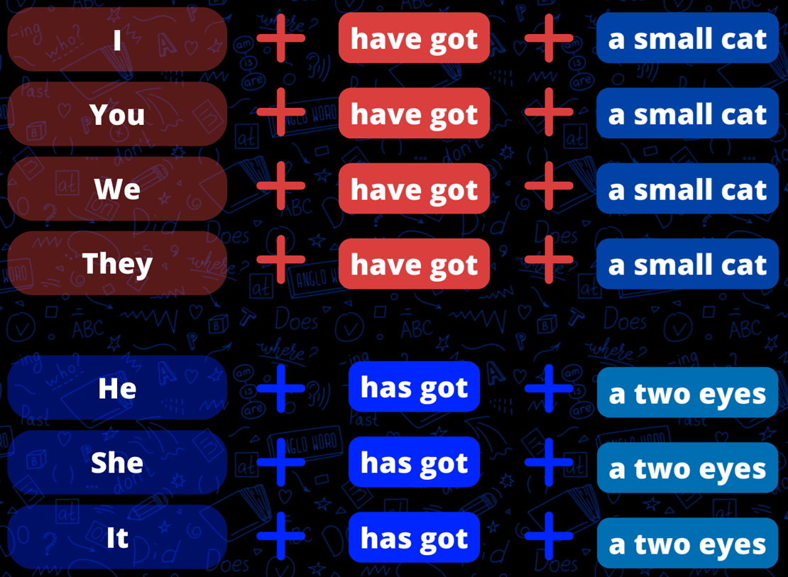 Ingilizce Have Got Has Got Tablosu